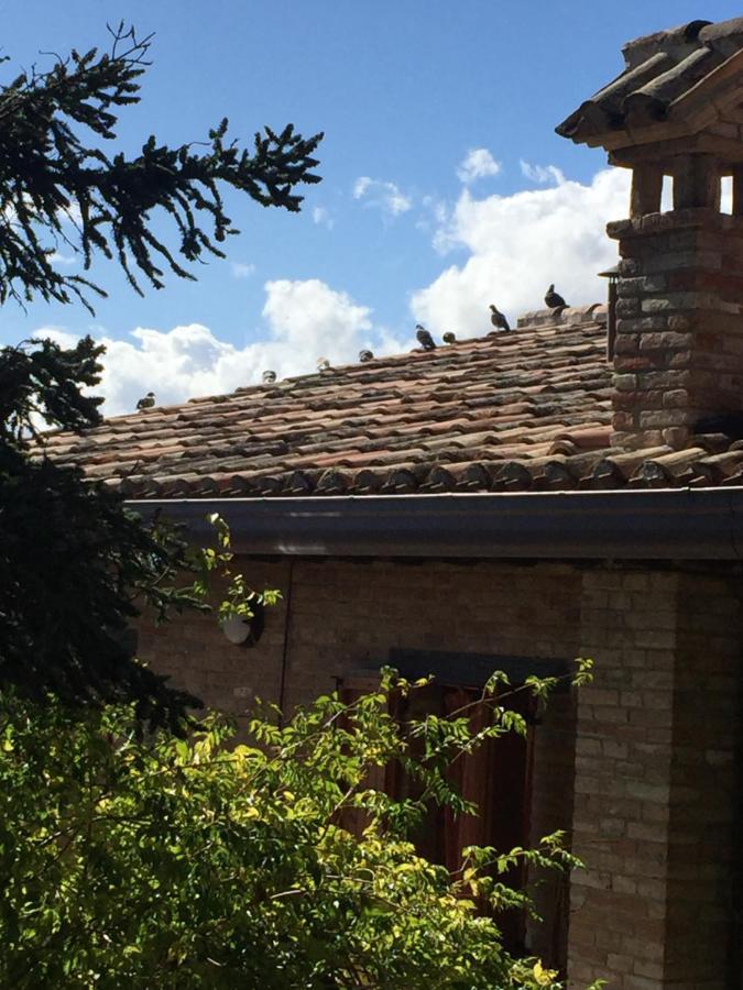 Green B&B Urbino Ca Del Vento Екстериор снимка
