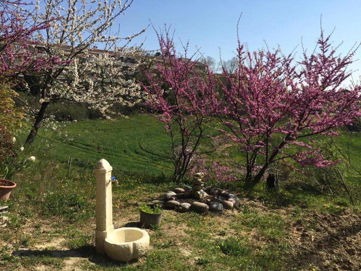 Green B&B Urbino Ca Del Vento Екстериор снимка